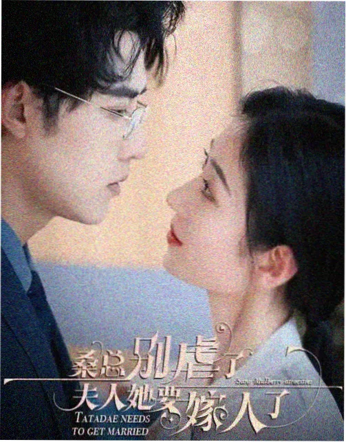 长风渡月剧集封面